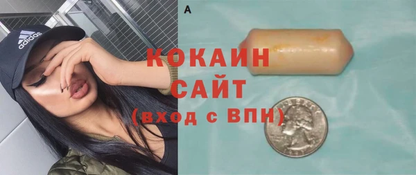 твердый Алексин