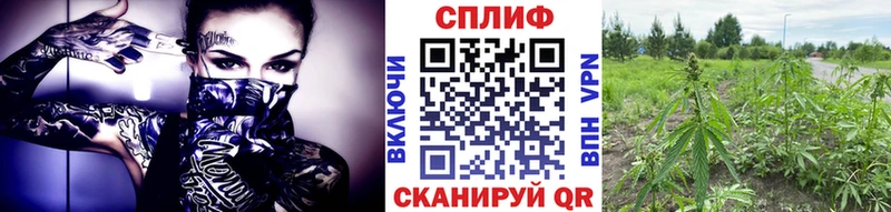 Каннабис планчик  ОМГ ОМГ как войти  Лагань 